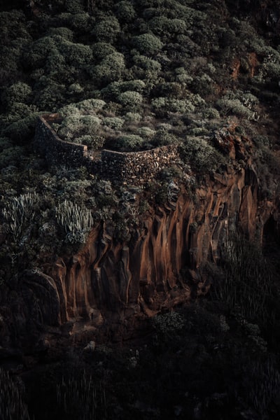 褐绿相间的落基山